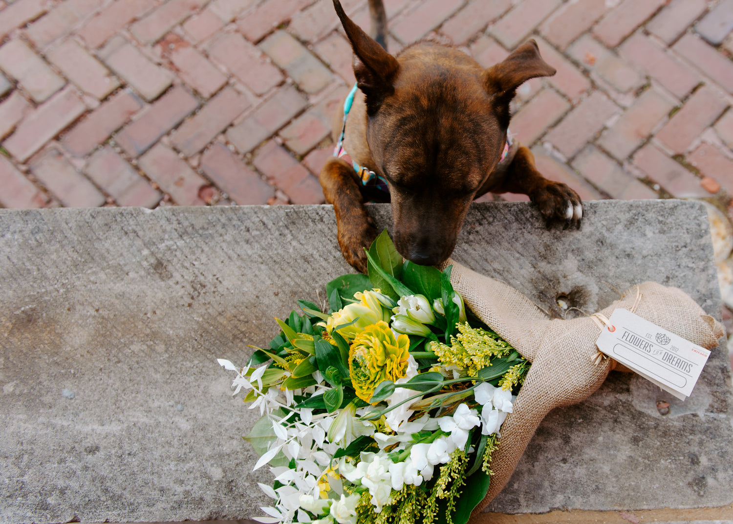 A vibrant bouquet of flowers dedicated to supporting rescue dogs, symbolizing care and compassion for animals in need.